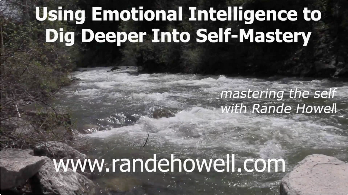Rande Howell Learning Systems to master emotional intelligence